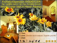 Bestehende öffentliche Grafik zur Privatpension Haidbauer