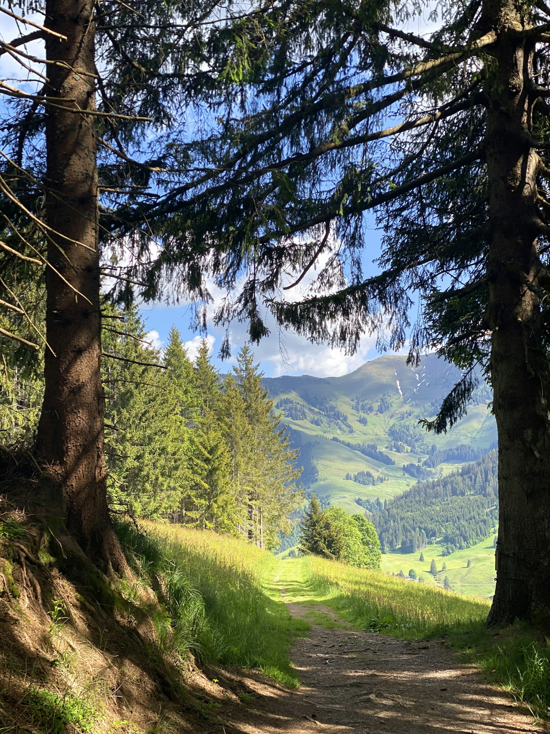 Wanderweg in den österreichischen Alpen